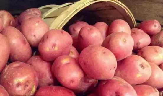 马桶堵住了用塑料瓶怎么解决,马桶堵了一次性杯子怎么疏通