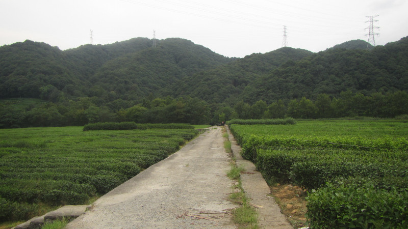 苏州西塘乌镇二日游团从杭州出发,苏州西塘乌镇二日一夜