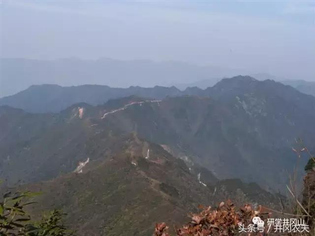 鹅岭瞰胜楼历史,鹅岭茶叶