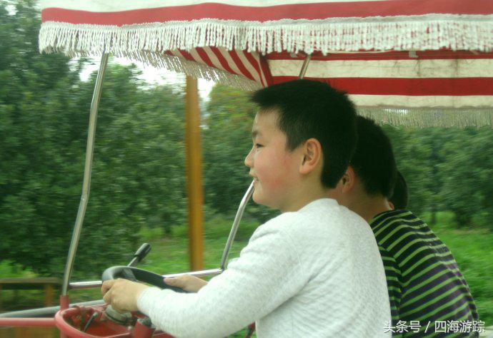 浙江玉环漩门湾国家湿地公园灯光,浙江玉环漩门湾湿地公园拍鸟