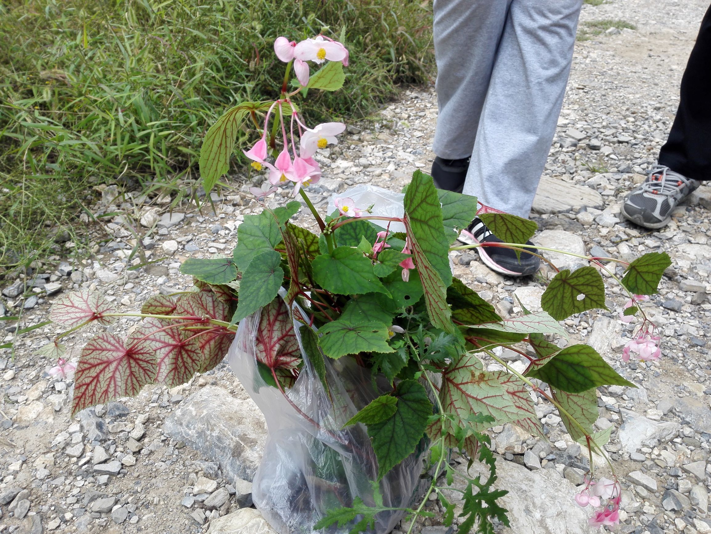 燕京八景玉泉山,燕京八景旅游攻略