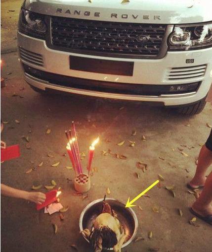 买新车一般需要怎么庆祝,买了新车用什么方法庆祝