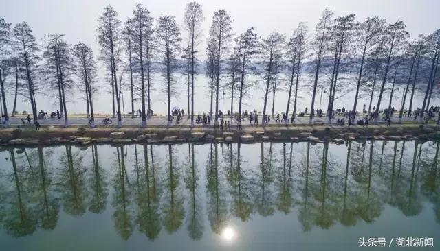 武汉无憾,来武汉才能不遗憾