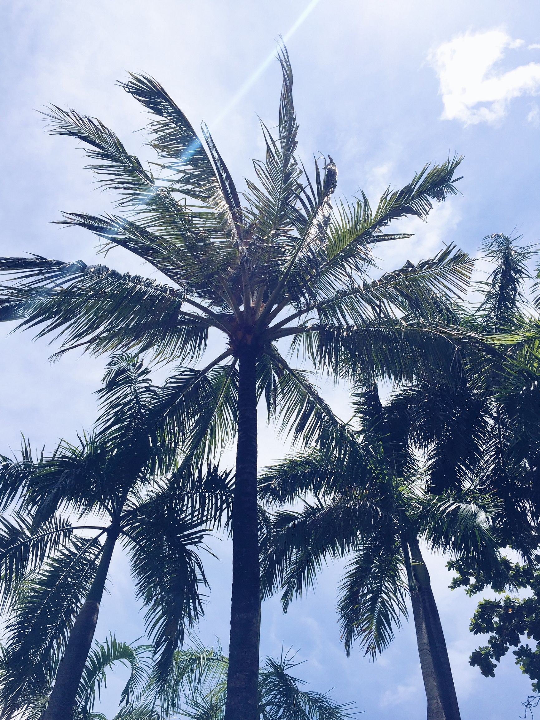 普吉岛七天自由行,十一去普吉岛旅游攻略