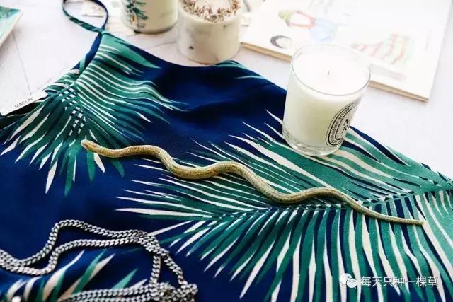 战利品｜助理*妞小**跟我出了一趟差，居然买了这么多！