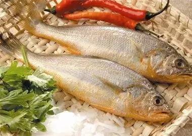 鱼为什么不建议多吃,鱼的食用禁忌大全