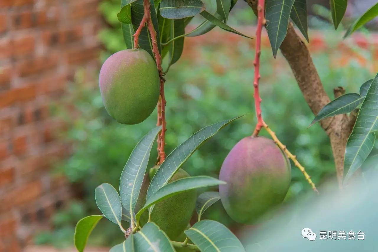 云南最神秘的六个野温泉，峡谷弥漫雾气小鱼咬脚，车底盘常常被刮