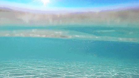 海边度假有人溺水怎么画,去海边游泳淹死了谁负责