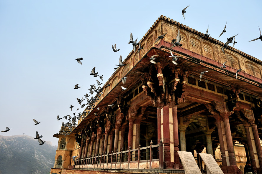 印度受骗记：骗你没商量，一万个心眼都不够用