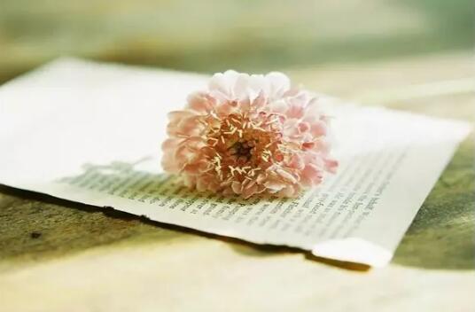 地阔能容山河心宽能容天下难容,眼宽能容天下景心宽能容天下事