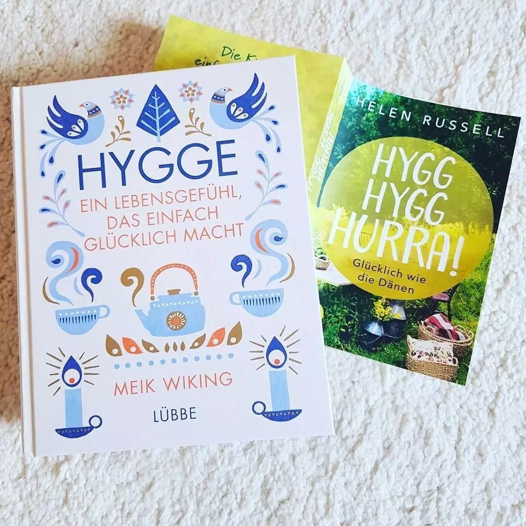 丹麦人的真实生活状态,丹麦人在丹麦生活怎么样