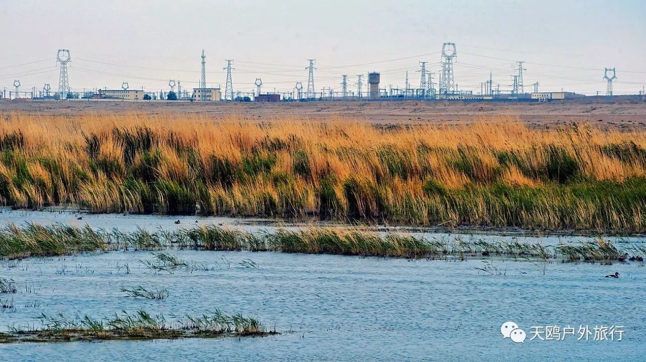 一大一小两个情侣湖，国庆来西域敦煌必经之路，一起秀恩爱吧！