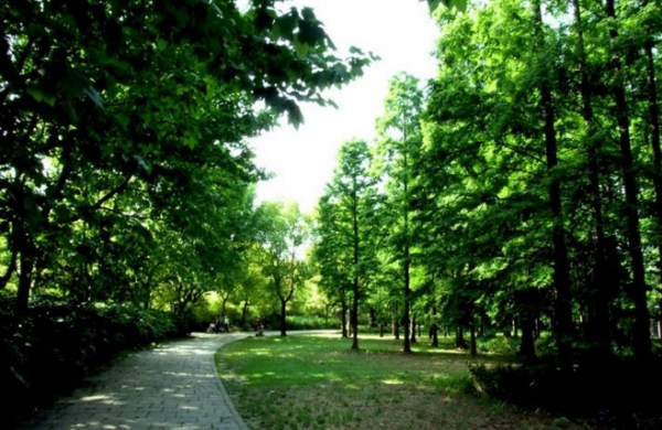 释放孩子无限能量,释放孩子自然的力量