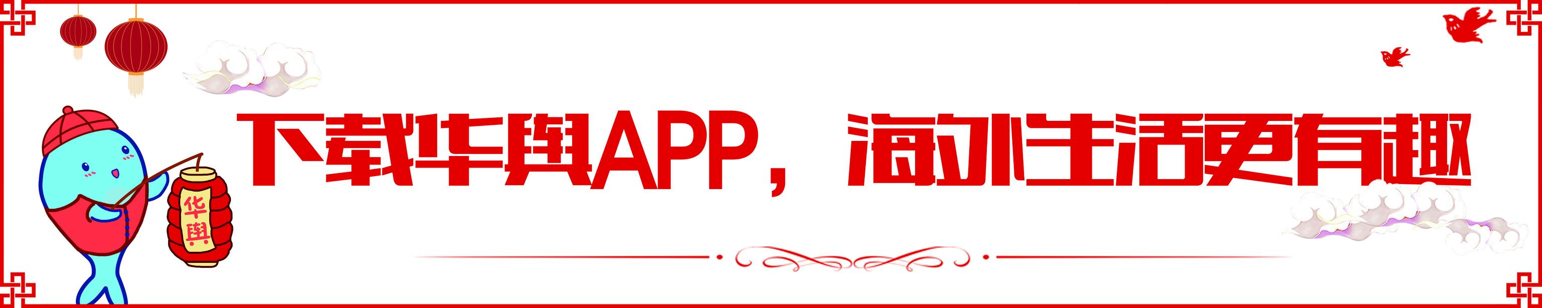 代购iphone靠谱吗,iphonex一万多买的