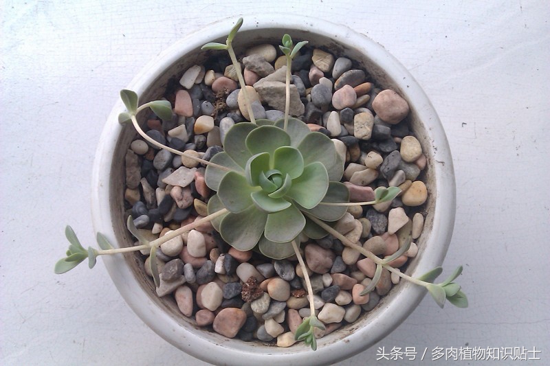 数不尽的岁月,数不尽的岁月的沉淀