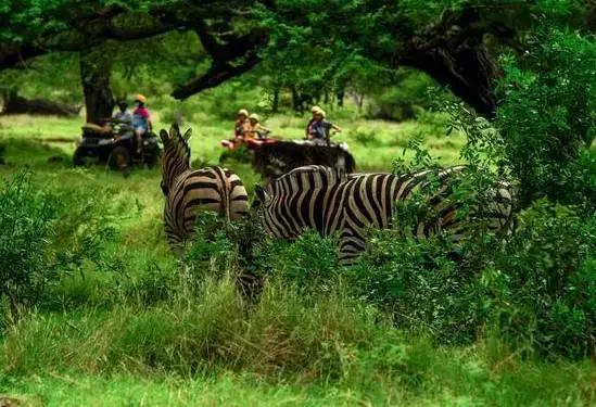 去过毛里求斯,说起去毛里求斯旅游的感受