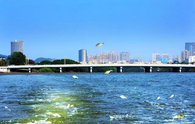 砥砺前行的5年成就,砥砺奋进的五年成就有哪些