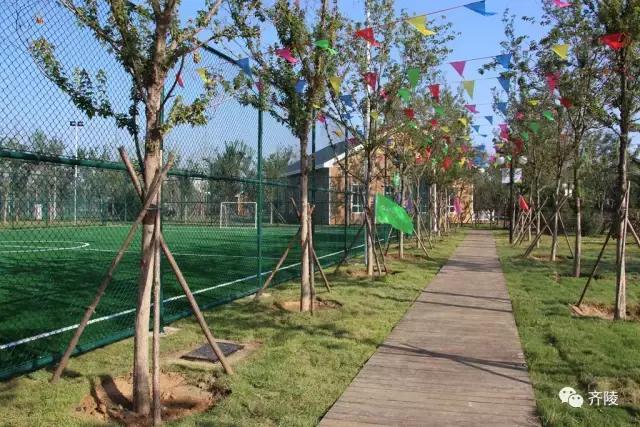 蹴鞠游园活动,齐文化博物院蹴鞠表演队