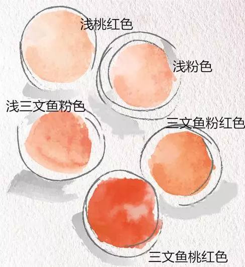 葡萄酒瓶颜色的秘密,葡萄酒香味的秘密