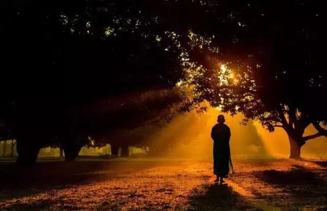 利他是不是最高境界,利他是人最重要的灵魂