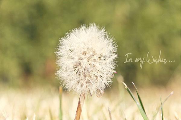 靖歌阁的网络营销,靖歌阁优化关键词