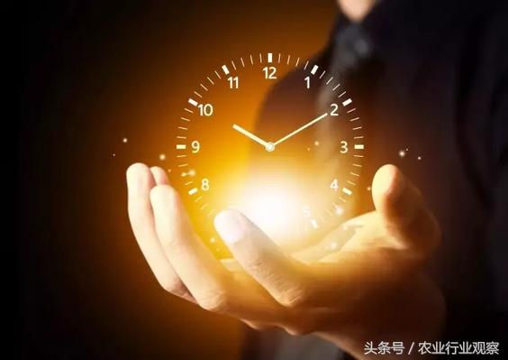 鍐滆祫浼佷笟鐢靛晢鏈潵鍙戝睍寤鸿,涓嬩竴涓簲骞磋鍒掑摢浜涙槸椋庡彛琛屼笟