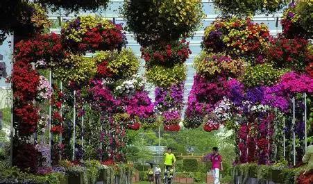 上海坐地铁直达的玩的地方,上海地铁直达花海