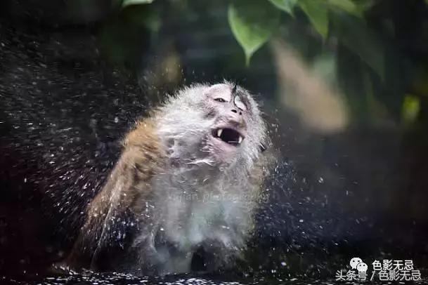 佳能l级镜头有哪些特点和用途,佳能l级镜头值得购买吗