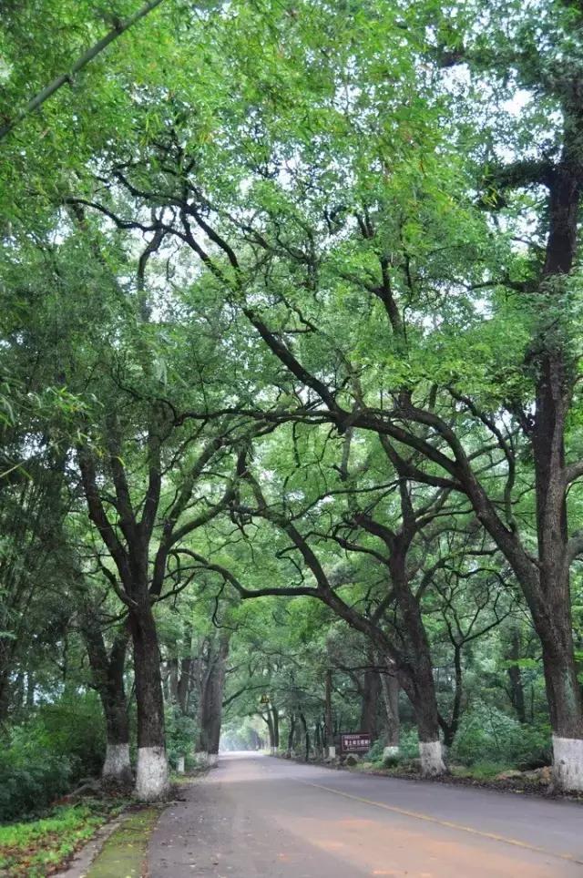 岭南九寨沟旅游攻略,广东自驾游去九寨沟攻略