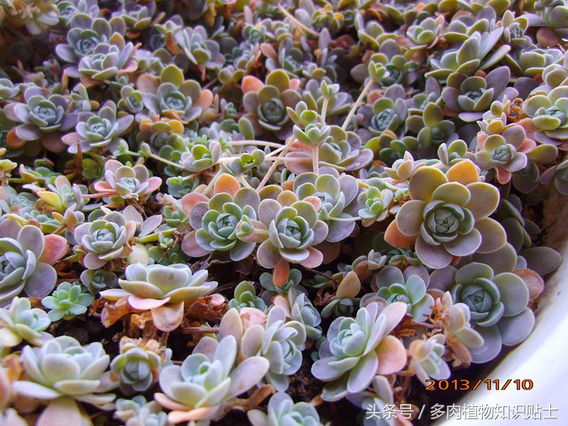 数不尽的岁月,数不尽的岁月的沉淀