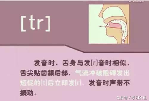夏沫英语48个音标教学视频,英语音标教学视频48个快速记忆法