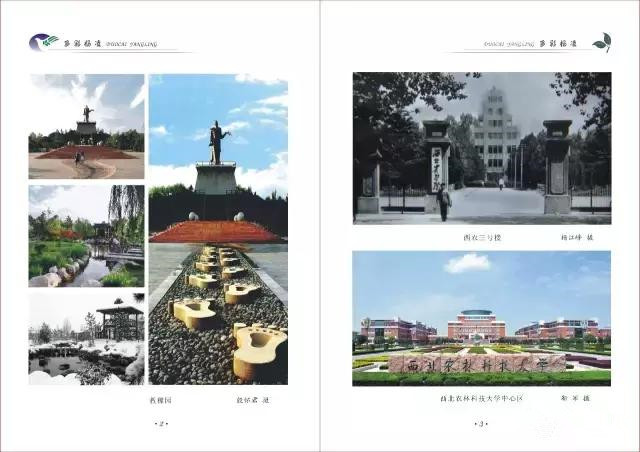 杨凌和杨陵什么关系,杨凌高凤香老师