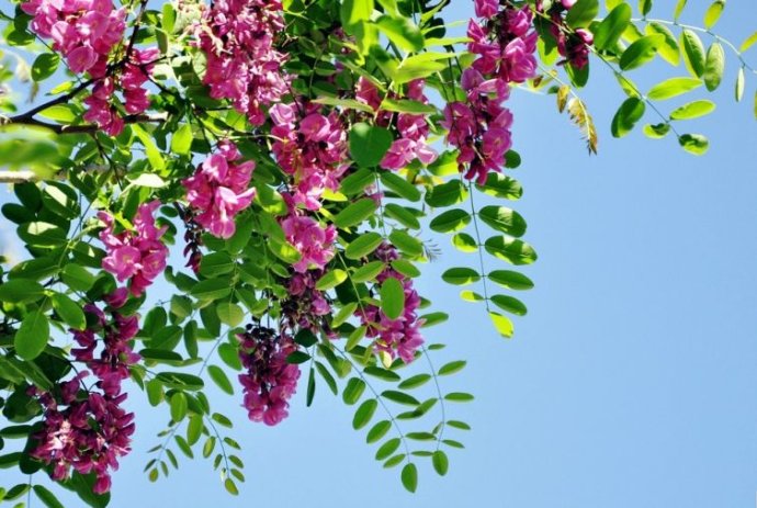 心情不好怎么快速开心,心情不好怎么快速发泄