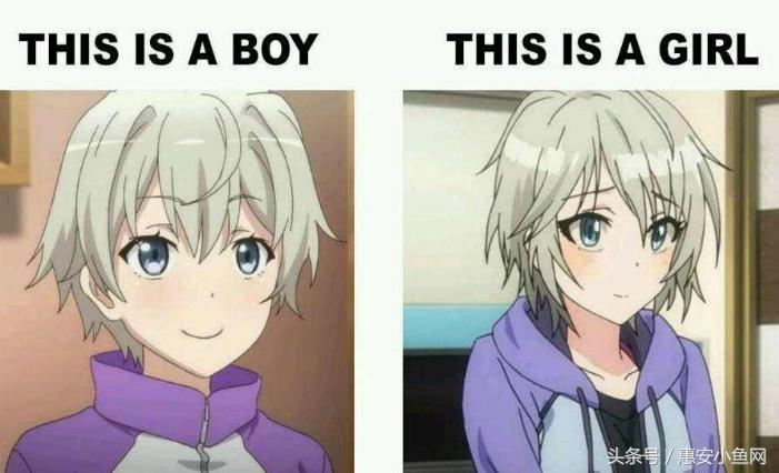 在闽南不仅有四脚蛇，还有四脚鱼，也叫“中国火龙”！