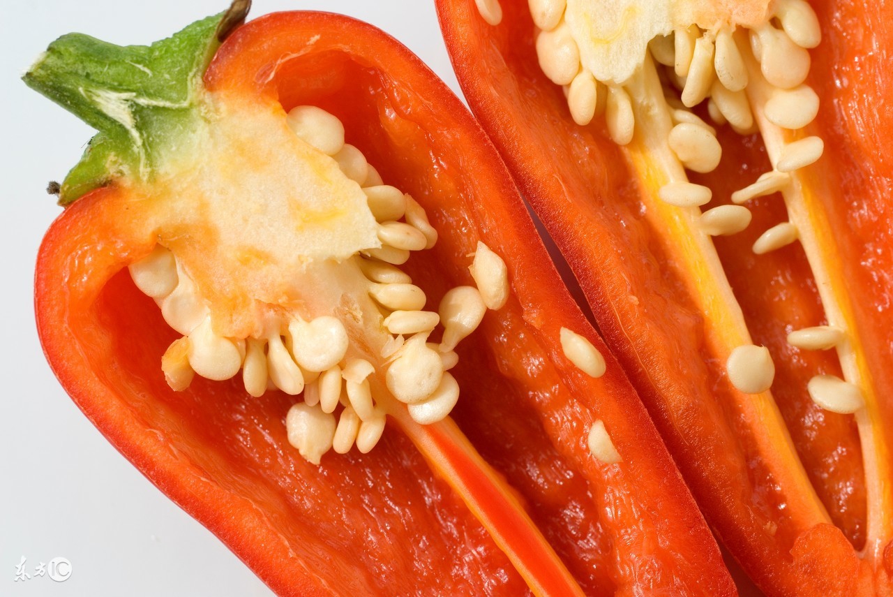 孕妇被蚊子咬了怎么止痒,孕妇被狗咬了怎么办