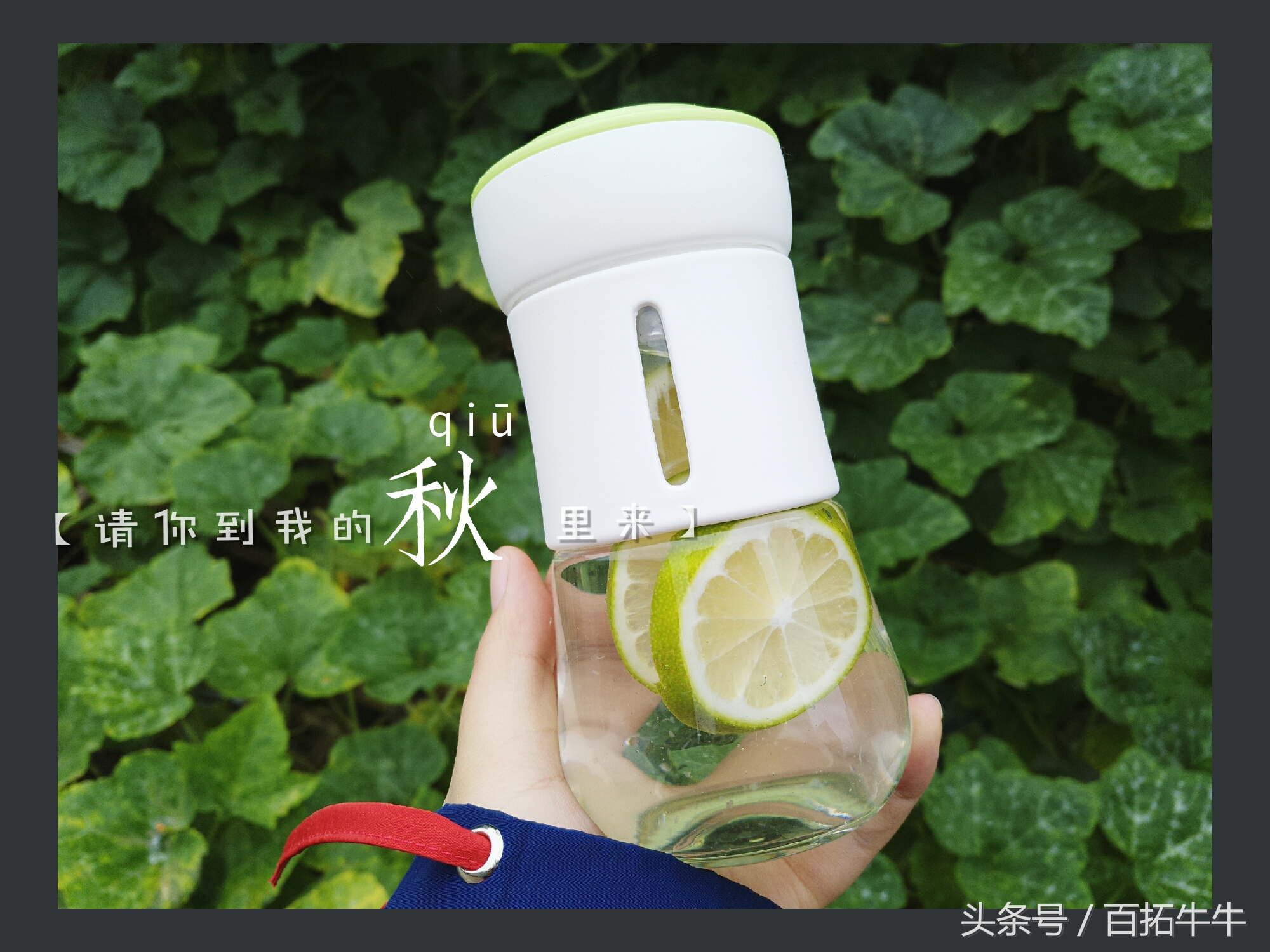 终于知道什么叫轻奢 (深度解读轻奢)