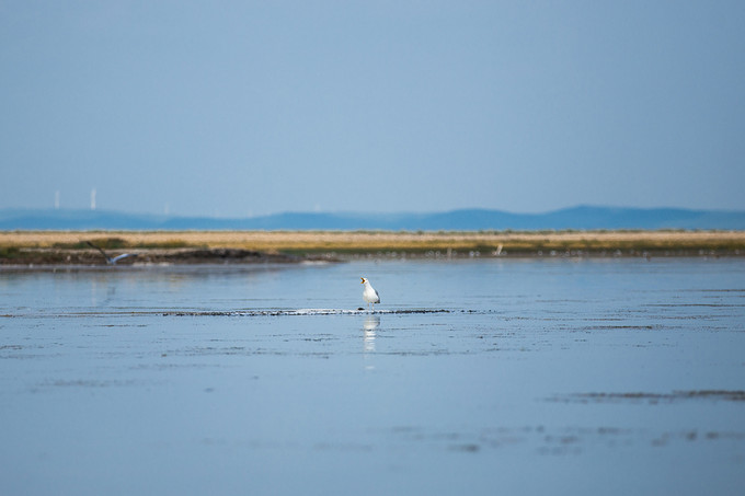 自驾游记初秋内蒙草原风光无限,内蒙大草原之旅自驾游哪里最美