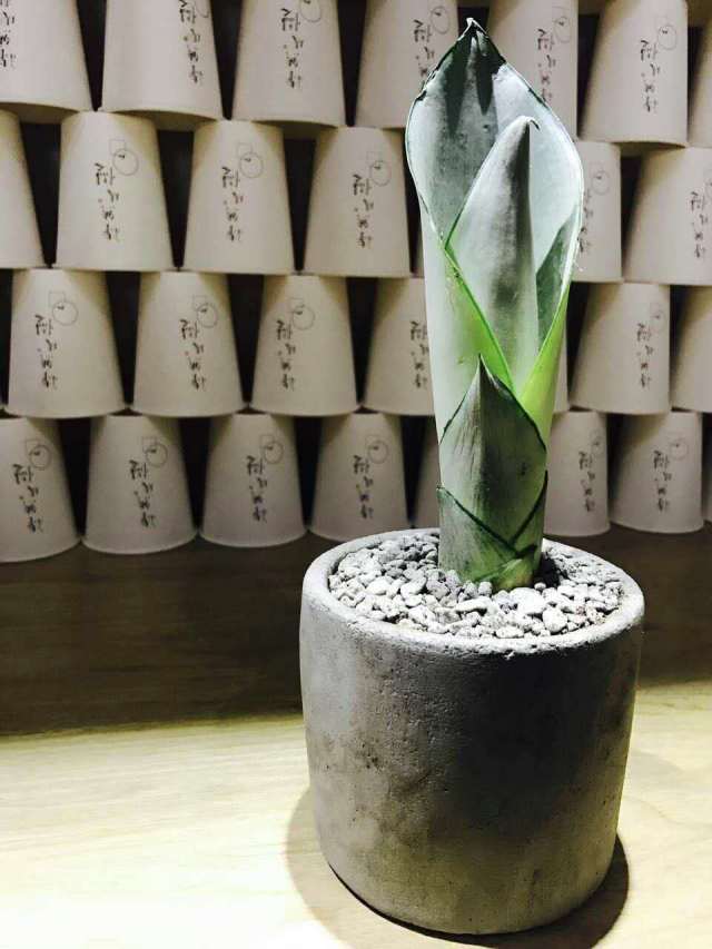 大梦初醒古诗视频,大梦初醒的古诗