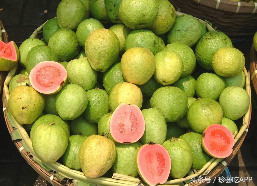 芭乐怎么吃才是正确的方式,芭乐有哪些食用方法和功效