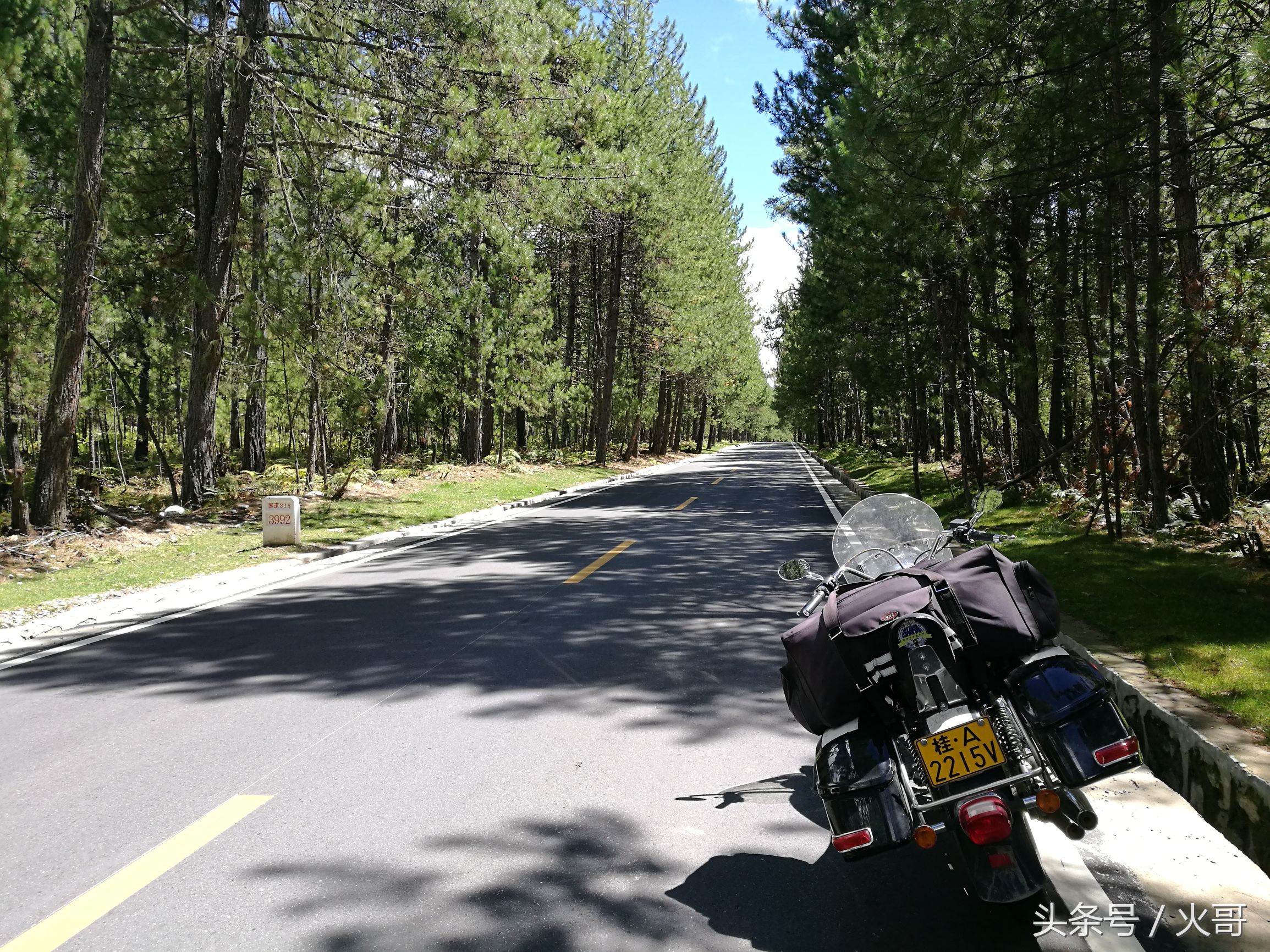 西藏林芝波密姑娘,路过林芝