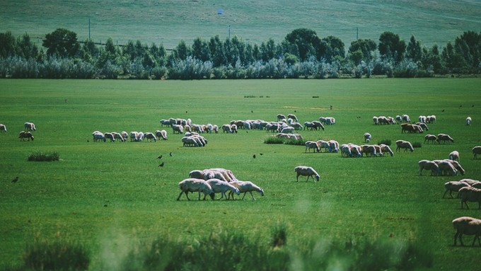 自驾游记初秋内蒙草原风光无限,内蒙大草原之旅自驾游哪里最美