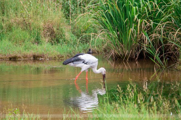 鏅幢椴滀负浜虹煡,鏅幢浣犱笉鐭ラ亾鐨勪簨