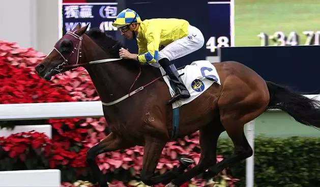 你不知道的十件事纪录片,你不知道的那些鸡毛蒜皮的事