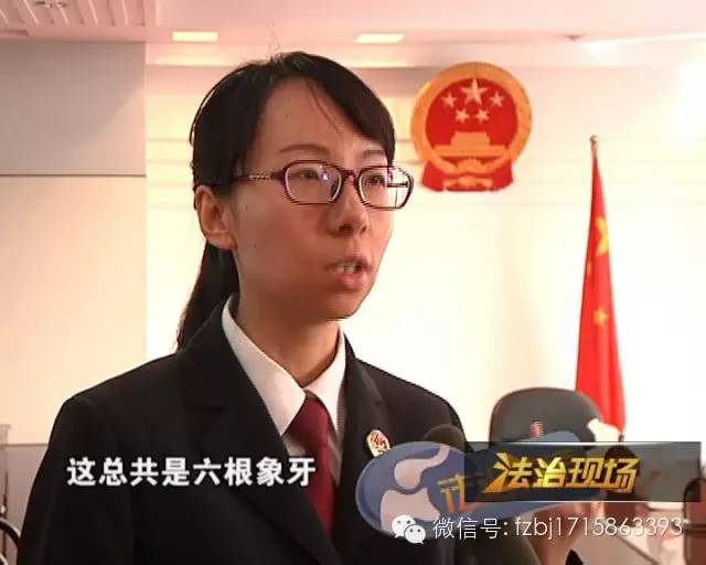 特大走私象牙判决案例,特大走私象牙判决书