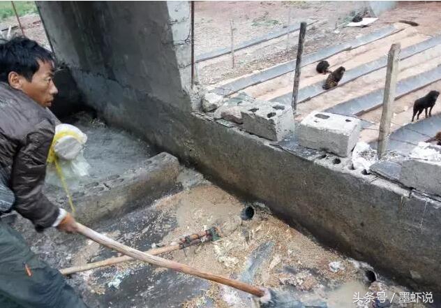 流浪狗收容所狗肉馆,狗肉馆旁边是流浪狗收容所