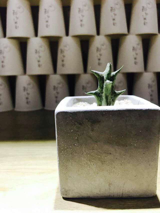 大梦初醒古诗视频,大梦初醒的古诗