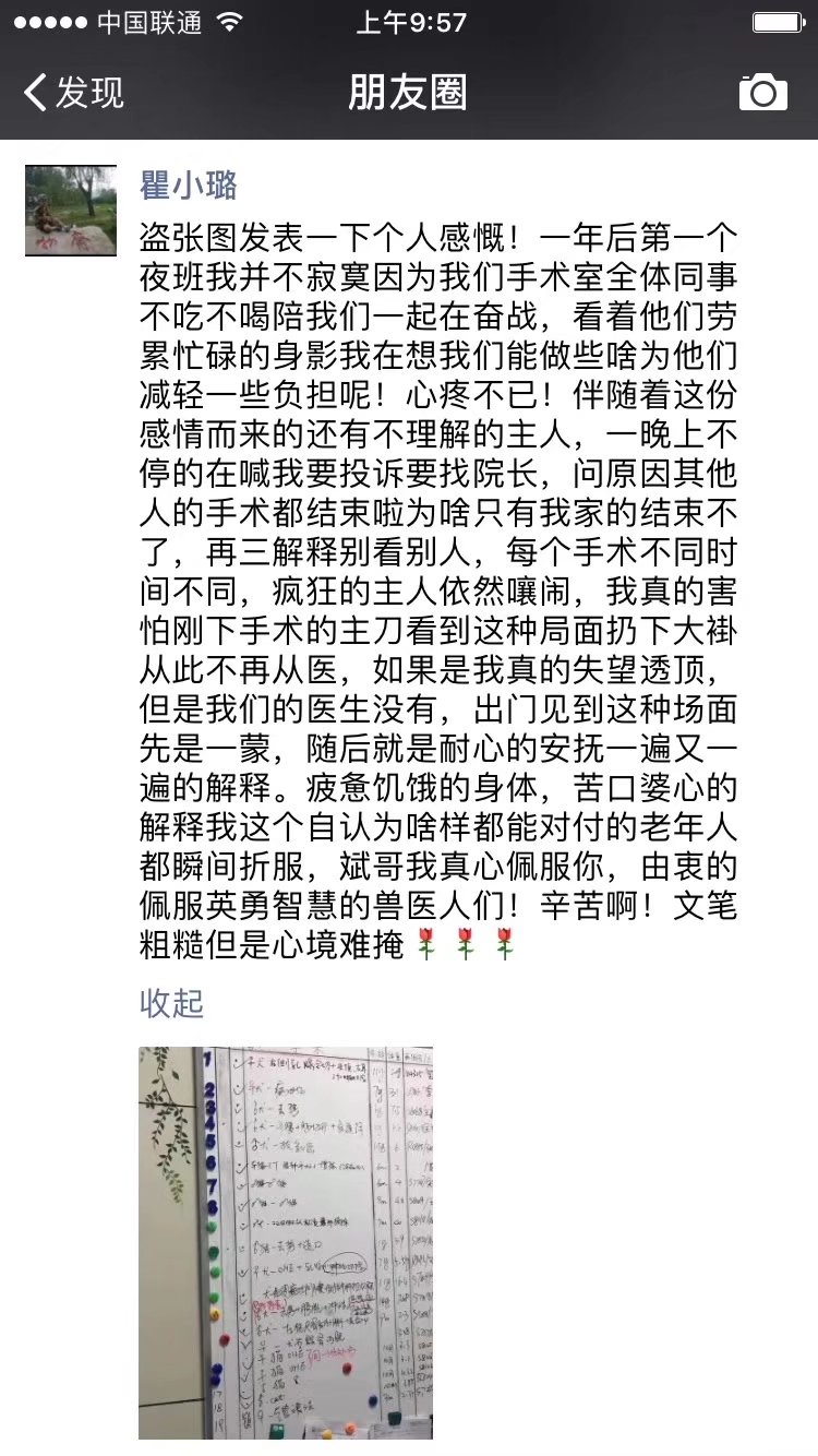 有人说我傻吗应该怎么回复,有人说我傻咋办