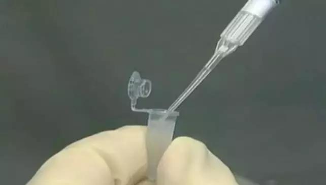 全球首例澳洲宣布彻底治愈关节炎,澳洲医生发现关节炎特效药