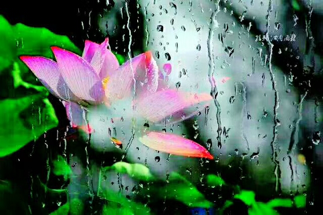 你身边有哪些高情商说话的人,你身边有诚实守信靠谱的人