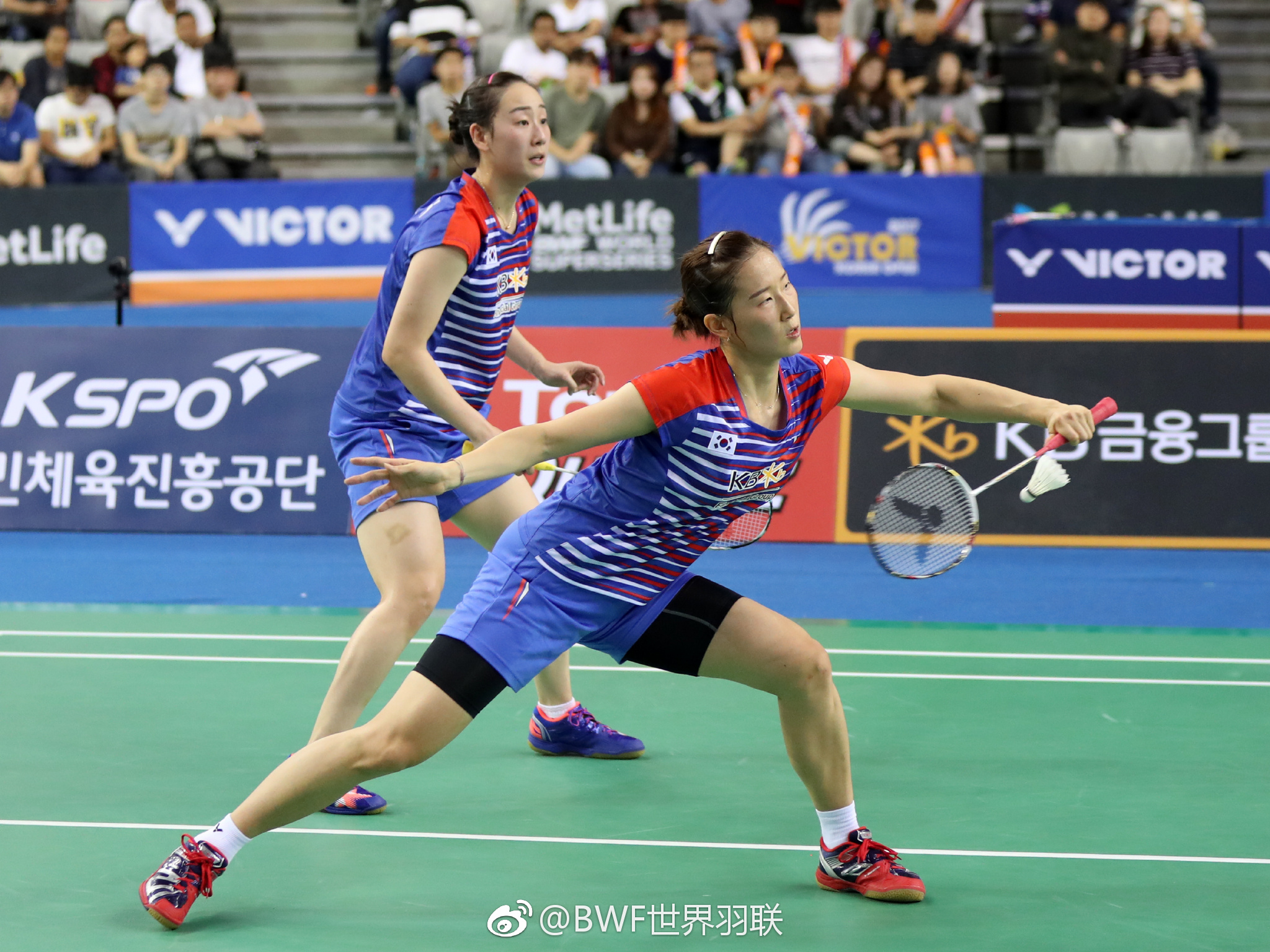 韩国羽毛球比赛胜了吗,2019韩国羽球